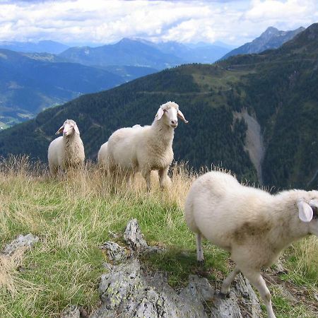 Pension Wilhelmer Sankt Lorenzen im Lesachtal Экстерьер фото