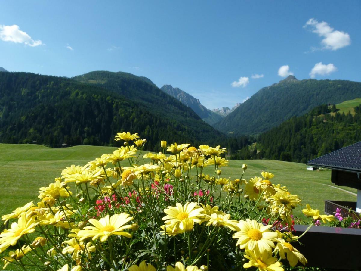 Pension Wilhelmer Sankt Lorenzen im Lesachtal Экстерьер фото